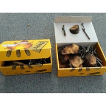 대추나무장작 펜션장작 캠핑용 미니 불멍 절단목 참숯 화목보일러 벽난로, 상세페이지 참조