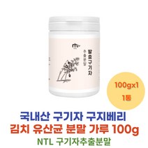 부모님 건강분말 구기자분말 노인 시니어 국내산구기자가루 김치유산균 락토바실러스 플란타럼 50대 60대 70대 중년 남자 남성 여성 여자 어르신 건강 선물 파우더 쉐이크