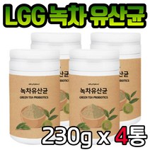 녹차 유산균 파우더 분말 230gx4통 카테킨 바이오틱스 락토바실러스 람노스 프락토올리고당 포스트 신 프로 프리 비피도 박테리움 배변활동원활 장 건강 남자 여자 여성 남성 선물