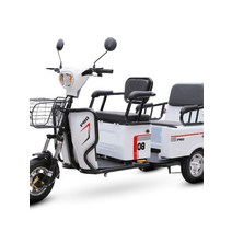 어르신 전동차 세발 전기 삼륜차 2인승 3발 48V 600W, 48V600W+특수리튬배터리20A(약40km)