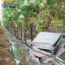 농업용 반사필름 야외 양면 과수원 사과 과일 뿌리 덮개 보온, 1x40m