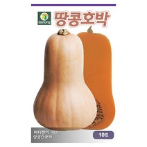미국장원슈퍼호박 씨앗 5립 호박 호박씨 호박씨앗 채소씨 야채씨 채소씨앗 야채씨앗 재배, 05_다농_땅콩호박(10립)