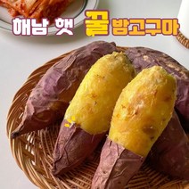 해남 화산황토 달달 햇 꿀밤고구마 3kg 5kg, 중 5kg, 1개