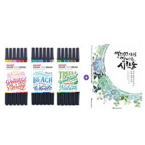 [B1P] 컬러 트윈 브러쉬 1세트+캘리그라피로 만나는 시 한줄 _ 캘리그라피 캘라그라피 수성펜 브러쉬펜 예쁜글씨 붓글씨 ( B1P / 83889EA ), SEA세트, 본상품선택