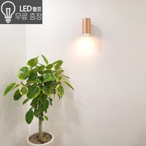 라인조명 트루디 원통1 2등 벽등 LED램프포함 주광 전구색 외부벽 방수벽등 벽조명, 원통1등 블랙 램프포함(전구색 노란빛)