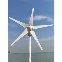 비상발전기 부품 수평 축 풍력 발전기 가정용 주거용 600W 800W 12V 24V 3/5 블레이드, [01] 12V, [02] 800W 5 Blades, 1개
