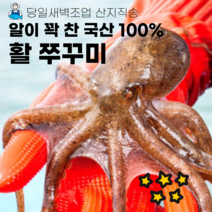 이브수산 당일조업 산지직송 국산 알이 꽊찬 활 쭈꾸미 1kg 2kg, 활쭈꾸미2kg, 1개