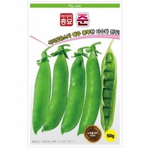 아시아종묘 콩씨앗종자 준(50g)