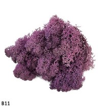 인공 이끼 정원 조화 - 자연 식물 영원한 생명 미니 조경 액세서리 홈 꽃 공예, 40g, b11