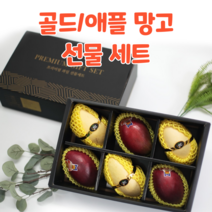 애플 망고 골드 망고 선물 세트 선물용, 골드망고 6과 선물세트