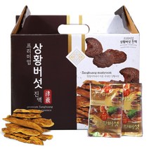 건강중심 장수 상황버섯 진액 100ml 60포 상황버섯즙, 1박스