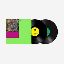 [정품] 실리카겔 정규 1집 LP 블랙 Silica Gel 1st Album Black 1051683