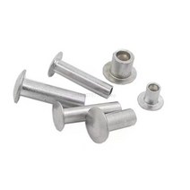 10/50pcs M2 M2.5 M3 M4 M5 M6 GB873 알루미늄 둥근 편평트러스 머리 반 중공 생크 리벳 직경 2-6mm 길이 3, 09 16mm_06 10pcs M6