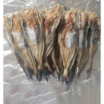 서해안 해풍으로 말린 건조망둥어 500g, 1kg 중소 60~80미 내외