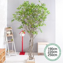 실내인테리어 인조나무 123종 / 플트 조화나무 C, C07.라인-자작나무 250cmK/코너형, 1개