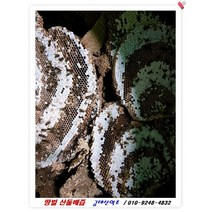 ﻿땅벌집 엑기스 산돌배 산더덕 마가목열매 010-9248-483, 1박스, 60개입 / 1포당 120ml / 7.3kg