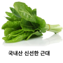 국내산 신선한 근대 2kg 4kg 국산 근대 나물 된장국 무침요리 생 근대 국거리용 싱싱한 생근대 쌈채소 제철채소