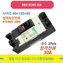 대륙 DBS102NS 30A 배선용차단기 2P30A MCCB