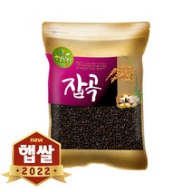 현대농산 2022년산 햇곡 국산 찰흑미 5kg, 1개