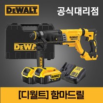 디월트드릴 20V MAX 로타리 함마드릴 집진기 먼지흡입 DCH263 DWH205, 옵션3 DWH205DH (집진기)