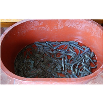 짱뚱어(짱뚱이) 1kg 짱뚱어탕용 짱뚱어구이 짱뚱어회 짱둥어 짱둥이 [예약주문상품], 짱뚱어(짱뚱이) 1kg (40마리내외), 1개