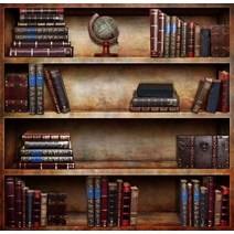 슬라이딩책장 슬라이딩 책장 공간 분리 낮은 틈새 철제 회전책장 사진 배경 도서관 책 골동품 선반 졸업 생, 01 1_04 Vinyl120x120cm