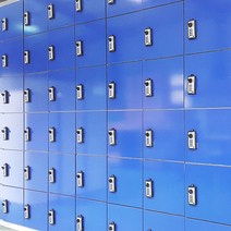 사물함 독서실 도서관 학교 개인 사무용 개인수납장 전자키사물함 보호구함 헬스장 목욕탕, 지역별 수량별 차등적용/ 전화문의 필수, 5 연두, 일반볼키