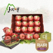 산지애 씻어나온 꿀사과 3kg 1box (대과) / 청송산 미시마 당도선별, 1개
