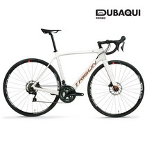 트리곤 23년형 다크니스 SLD 105 브론즈 로드 자전거, XL(58), FULCRUM RACING 900 DB