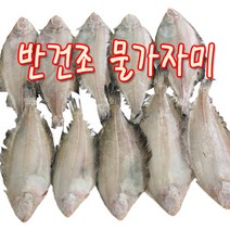 물가자미(반건조)(10마리) 5마리 2봉 진공포장 생산자판매 해인수산, 2개