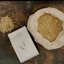 약방집손녀딸 보리차 미디엄로스팅 하루용 곡차2호 300g, 3개, 900g