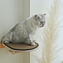 [펫502] 고양이 선반 캣타워 책장 해먹 캣워크, 추가안함