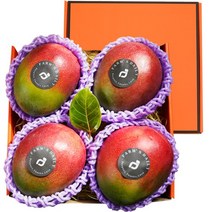 명품 과일선물 당일발송 항공직송 망고 프리미엄 고당도 애플망고 쁘띠 선물세트 (4입 1.8kg~2kg 내외), 1개