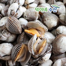 통영 새꼬막 참 꼬막 무침 찜 산지직송 피조개 피꼬막 1kg 2kg, 새꼬막 1kg