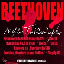 [CD] Wilhelm Furtwagler 베토벤 : 교향곡 3번 9번 (Beethoven : Symphony No.3 No.9) 빌헬름 푸르트뱅글러