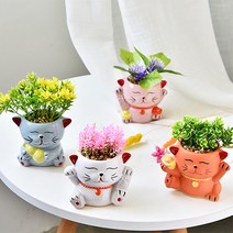 행운의 고양이 미니 화분, 하늘색 고양이 화분