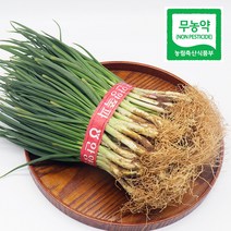 국내산 무농약 흙 쪽파 친환경 노지 잔파 쪽파 소포장, 친환경 쪽파3kg, 1개