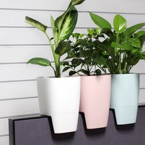 [코아코아] 인테리어 파티션 화분(4color), 그레이