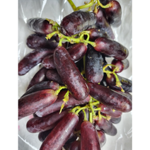 국내산 블랙사파이어포도 1kg 고당도포도 가지포도 마녀포도 스위트사파이어 프리미엄포도 제철과일 명절과일 고품질과일, 1박스