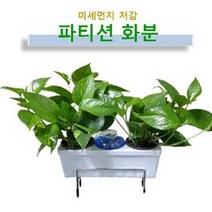 리빙팜 파티션화분 식물포함, 1호(파티션 화분 거치대 규격 45mm)