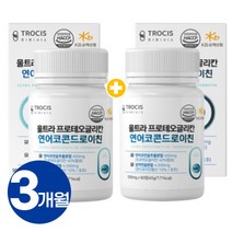 프로테오글리칸 식약청인증 연어코연골 추출물 프로테어글리칸 콘드로이친 프로태오글리칸 고함량 (+사은품증정), 2통, 90정