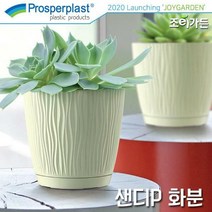 [Prosperplast] 샌디P 화분 (받침포함), DSY190P 베이지