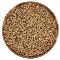 카무트 국산 쌀 고대쌀 이집트 호라산밀 1kg
