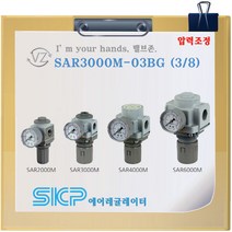 SKP에어레귤레이터 SAR3000M-03BG ( 신품번SAR300-03BG) 3/8