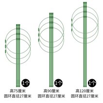 거치대 원예가 덩굴에 오르다 가설하다 자 가정용 꽃 받침대 실내 월계화 그린 뤄 쇠사슬이 벋다 엘로 박과 2884802485, 미디엄, 등나무틀 (75 /90 /120 센치