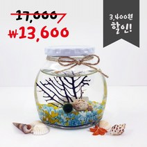 미니가든 틴캡 어항 산호 마리모키우기 DIY 키트, 색돌7.보라믹스