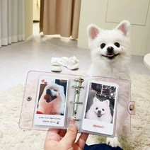 조일테크 내맘대로 양면 포토카드, 포토카드1장+선물상자+미니앨범 연핑크