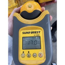 설국향 신비향 수라향 아스미 아스키 고당도 제주직송, 10kg 내외 (45~60과)