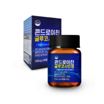 웰리즈 관절엔 콘드로이친 글루코사민정 2개월분, 1개