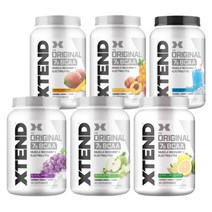 엑스텐드 BCAA 90서빙 6종 Xtend 익스텐드 리커버리, BCAA 복숭아 피치 1.4kg